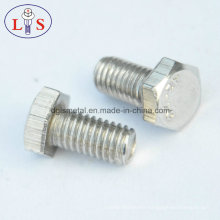 High Strength Stainless Steel 304 Hex Head Bolt